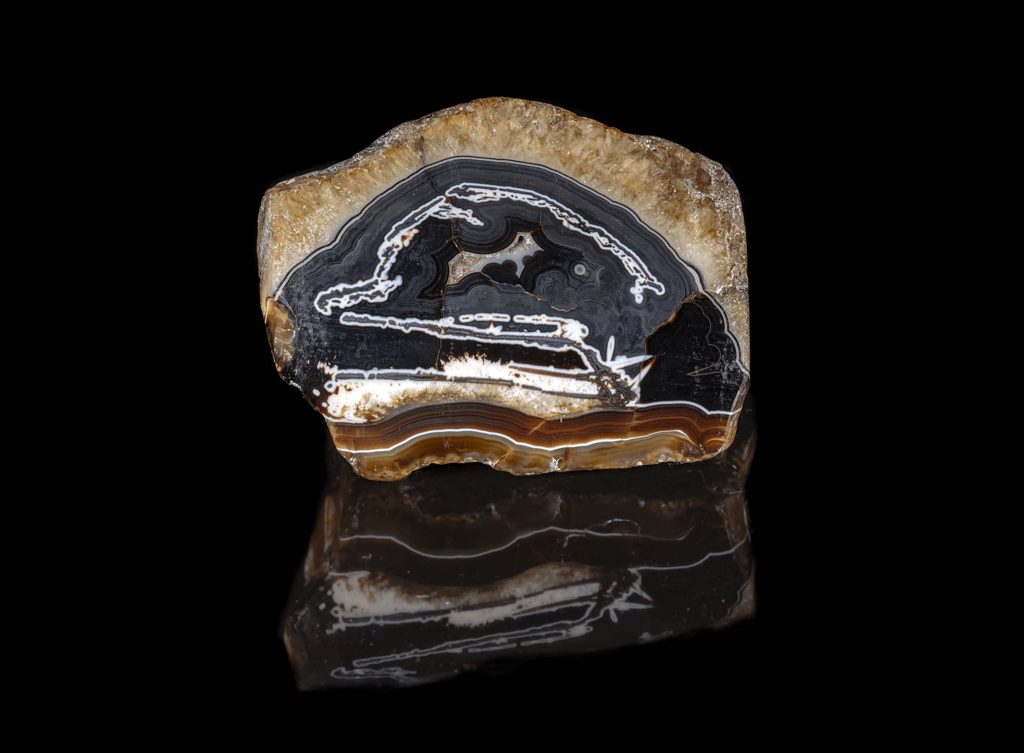 鉱物とジュエリー、自然科学と美の競演① フランス国立自然史博物館