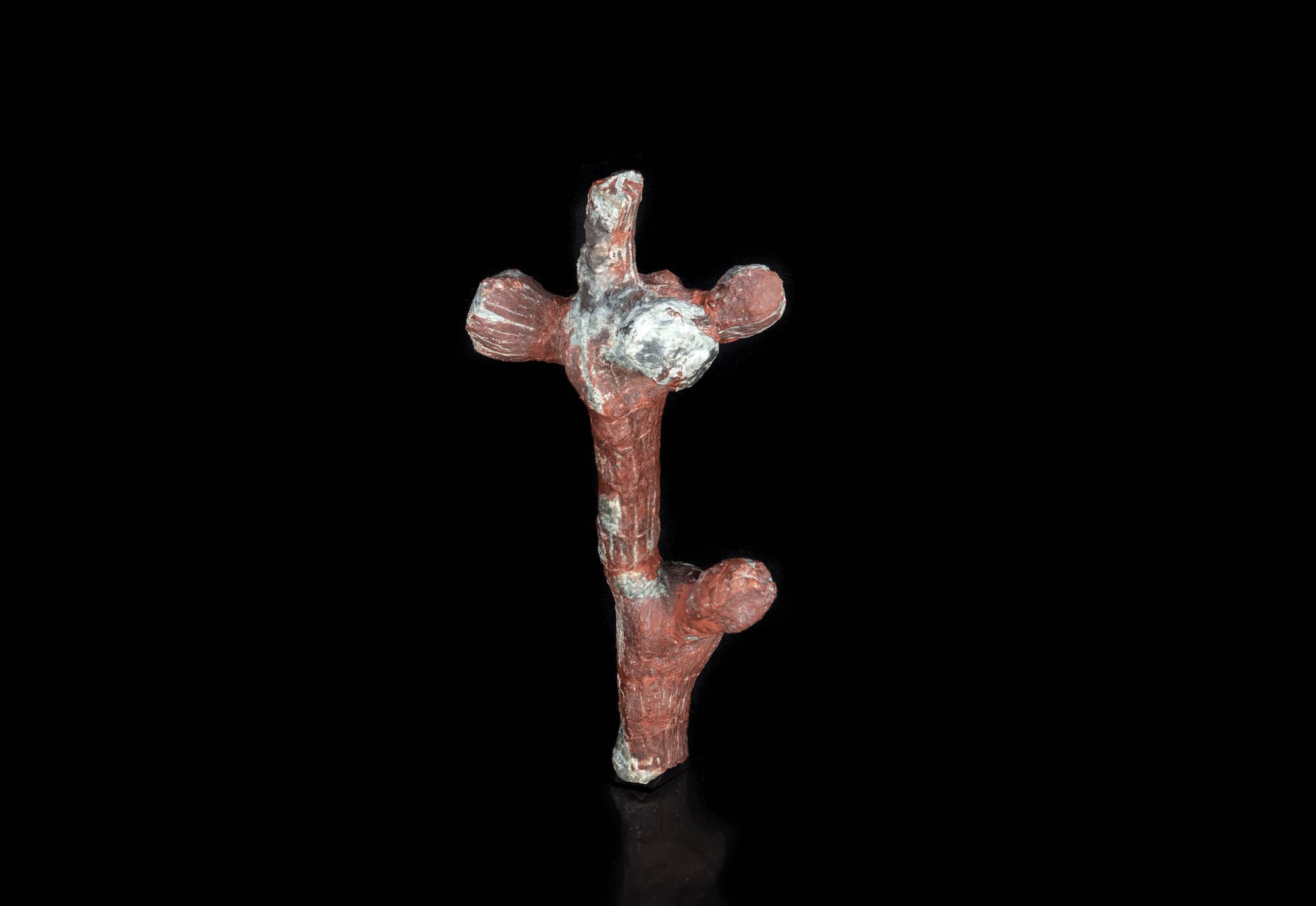 アメリカ・ユタ州で産出されたナンヨウスギの化石も、2億年ほど前には植物だった Fossilized Araucaria buds circa 200 million years – Utah, United States © MNHN / F. Farges