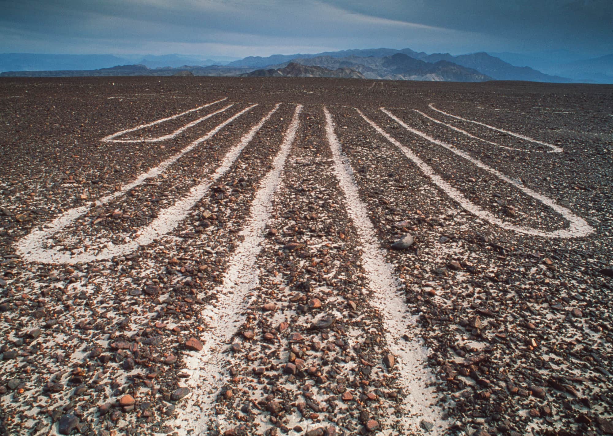 全長95 m あるハチドリの地上絵と、地上から見た線。北海道大総合博物館などの研究グループは地上絵のうち鳥の絵16点を、鳥類学上の特徴から10年近くかけて分析。2点が海岸などに生息するペリカン類、1点が南米の森林地帯に生息するカギハシハチドリ類であると2019年6月に発表した。ペルー南部の砂漠台地にあるナスカ周辺にはいずれもいなかったであろう種類であり、制作目的について謎が深まった ©︎ GYRO PHOTOGRAPHY/a.collectionRF/amanaimages ©︎ Science Photo Library/amanaimages
