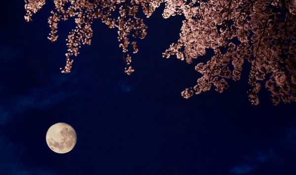 憂うつの中から辿り着きし天職①-真夜中の脳科学-