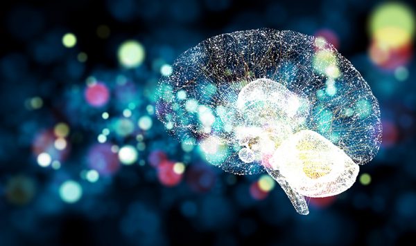 憂うつの中から辿り着きし天職②-真夜中の脳科学-