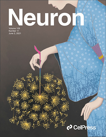 オールジャパンの技術で製作した広視野顕微鏡の成果は科学雑誌『Neuron』の表紙に採用された